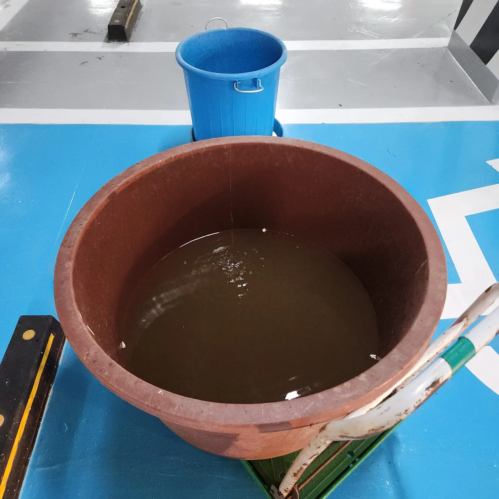 지하 주차장 바닥에 놓인 큰 붉은 통 안에 갈색 물이 고여 있고, 뒤에 파란 통이 하나 더 있다